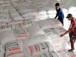 Tata Kelola Pupuk Bersubsidi Bagi Petani Dinilai Amburadul