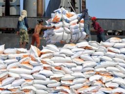 Harga Beras Melambung, Janji Manis Jokowi Pahit Dirasakan Rakyat