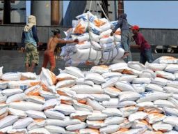 Masuknya Beras Impor Asal Vietnam Dinilai Bakal Mencekik Petani