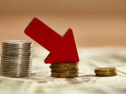 Strategi Bertahan di Tengah Krisis Daya Beli: Adaptasi atau Tenggelam?