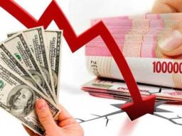Pengamat: Pelemahan Rupiah Tidak Bboleh Dibaca Hanya Sebagai Persoalan Pasar
