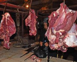 Harga Daging Sapi Mahal, Pakar Unair Ungkap Penyebabnya