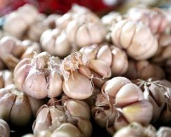 Harga Terus Merangkak, Pemerintah Diminta Stabilkan Harga Bawang Putih