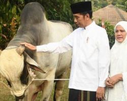 Jokowi: Kurban Bukan Hanya Menyembelih Hewan