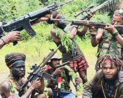 Teroris KKB Papua Kembali Berulah, Satu Prajurit TNI Dikabarkan Gugur
