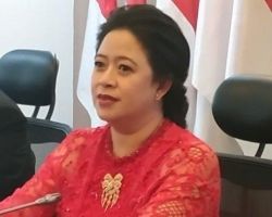 Bukan Ditentukan Elektabilitas, Kerja Keras Kader PDi-P Bakal Jadi Penentu Kemenangan Puan Pada Pilpres 2024