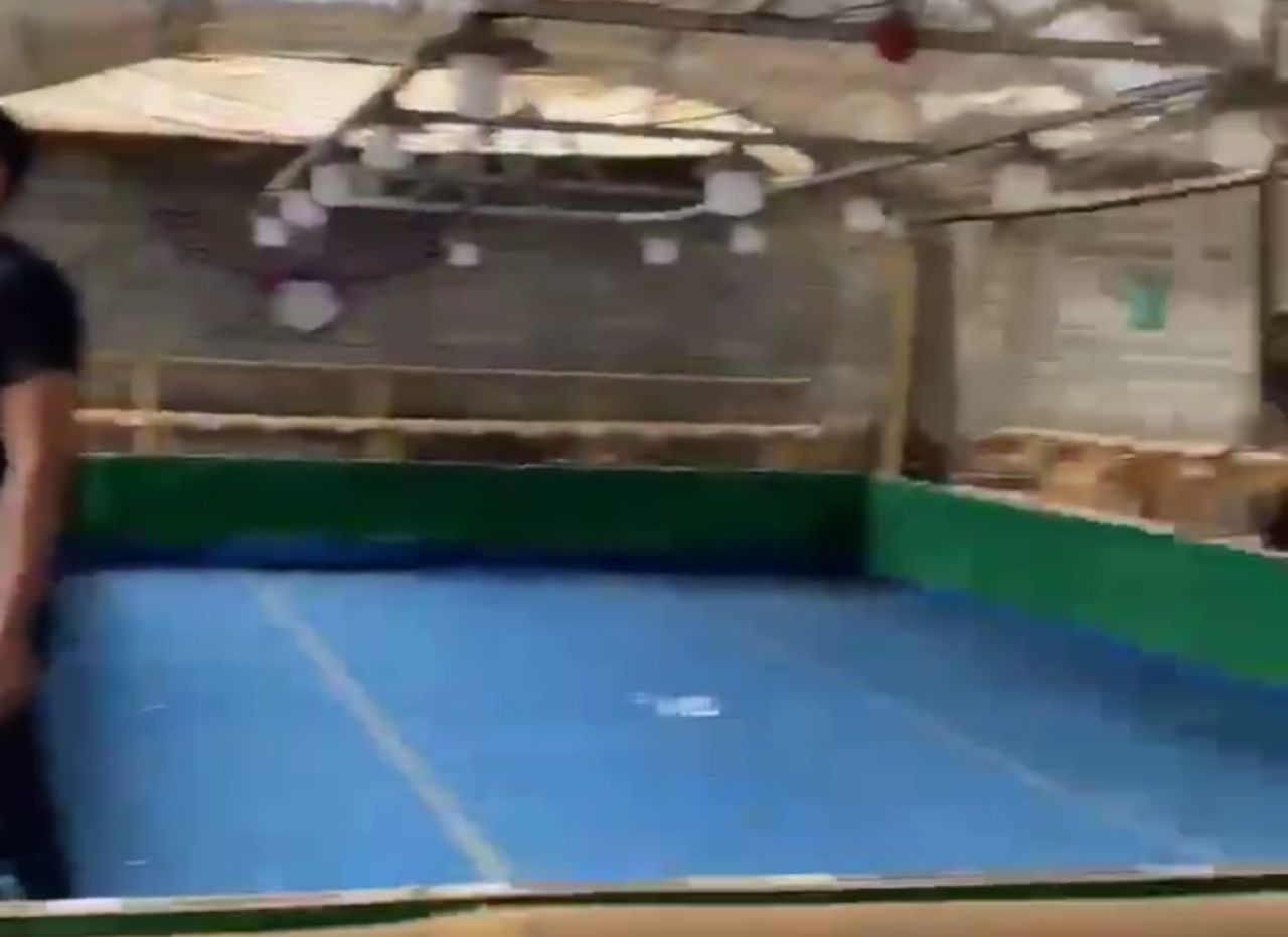 Arena judi Sabung Ayam di Way Kanan