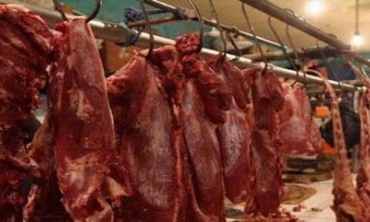 Daging Sapi (Foto: Istimewa)