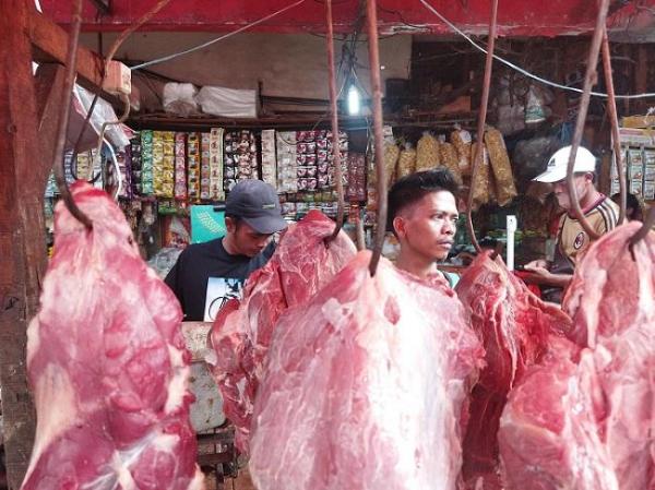 Cegah Wabah PMK, APDI Dukung Pemerintah Perketat Pengiriman Sapi ke DKI Jakarta