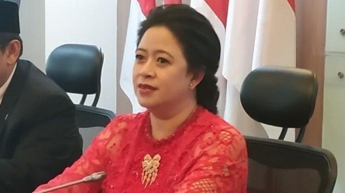 Puan Maharani (Foto: Istimewa)